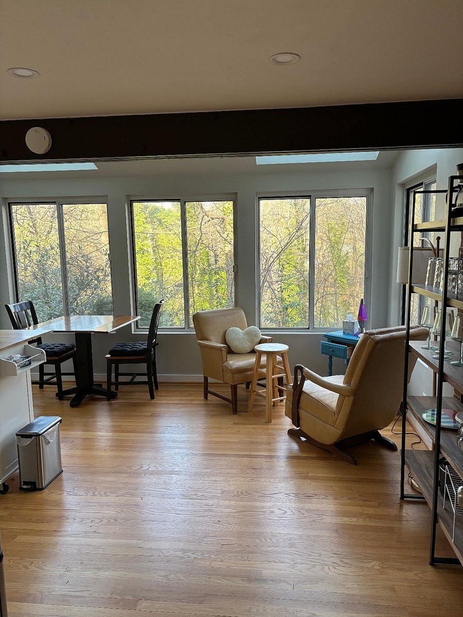 kitchenette with secluded wooded area - deer usually daily, also 2 skylights