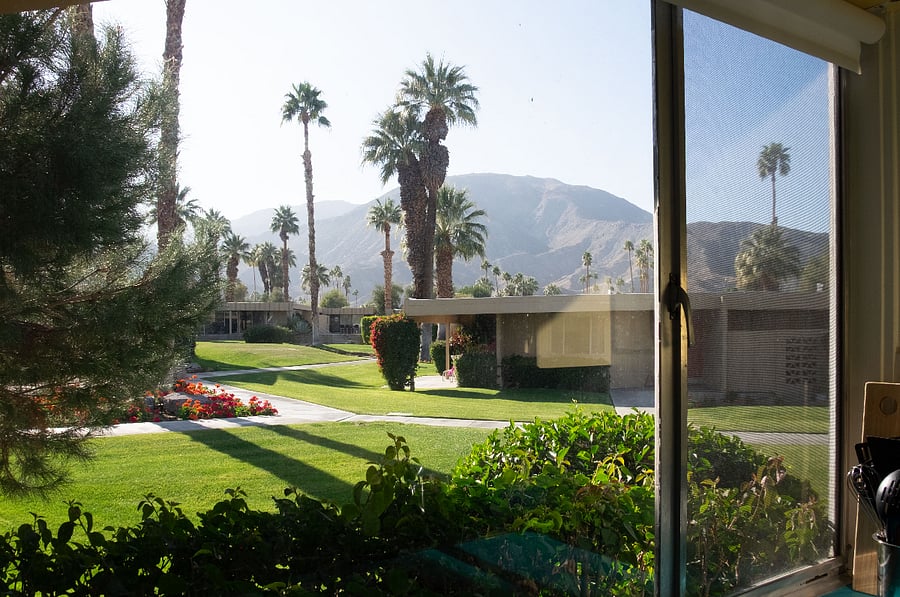 The view from the kitchen window