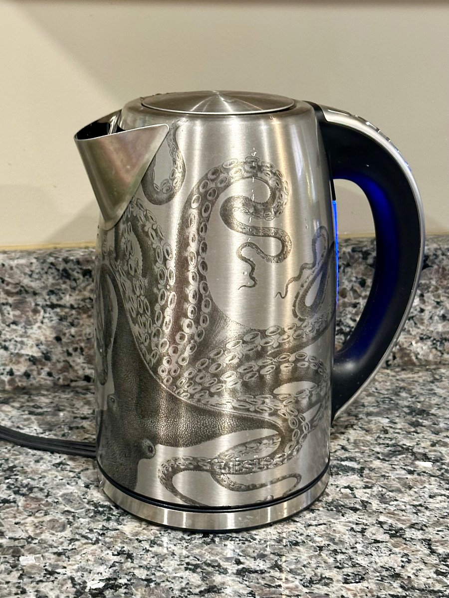 Kraken hot water kettle with multiple settings!