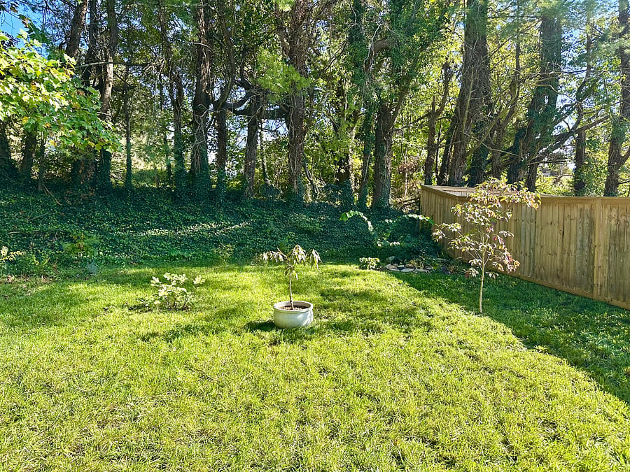 Large, private, partially fenced-in backyard! (Backyard neighbor is a church) Small pond in upper right corner.