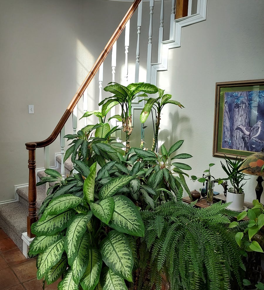 First floor entry to your upstairs home