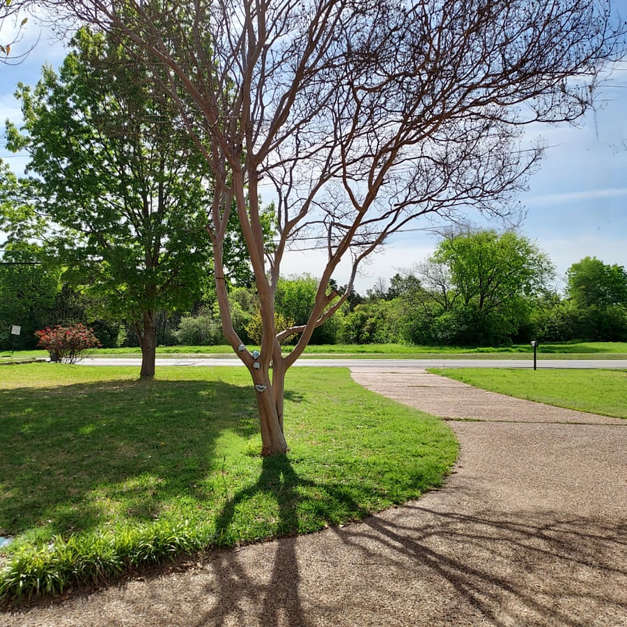 Front yard view of the beautiful park across the street