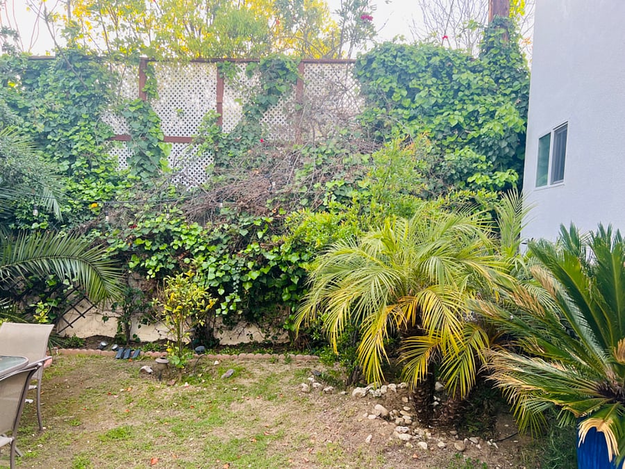 Furnished Finder property 847279_1 photo 18