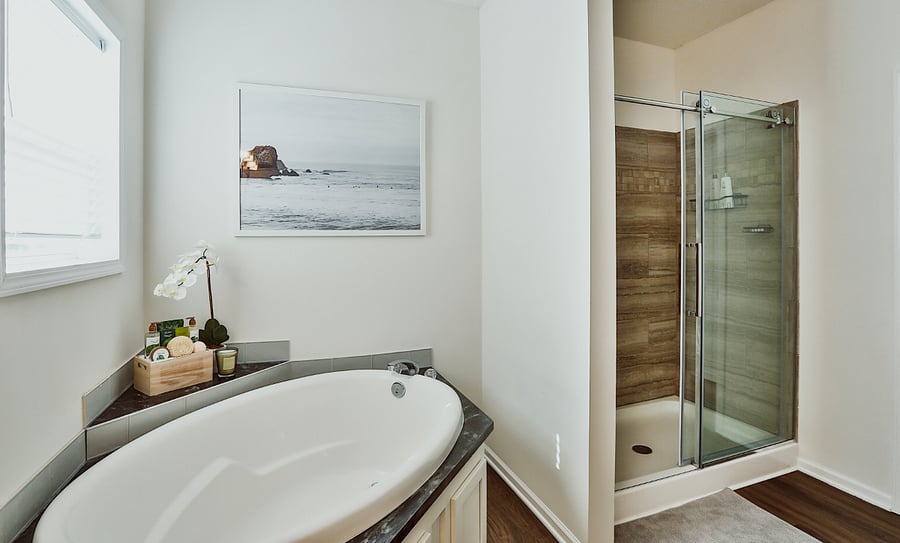 Master Bathroom Soaking Tub