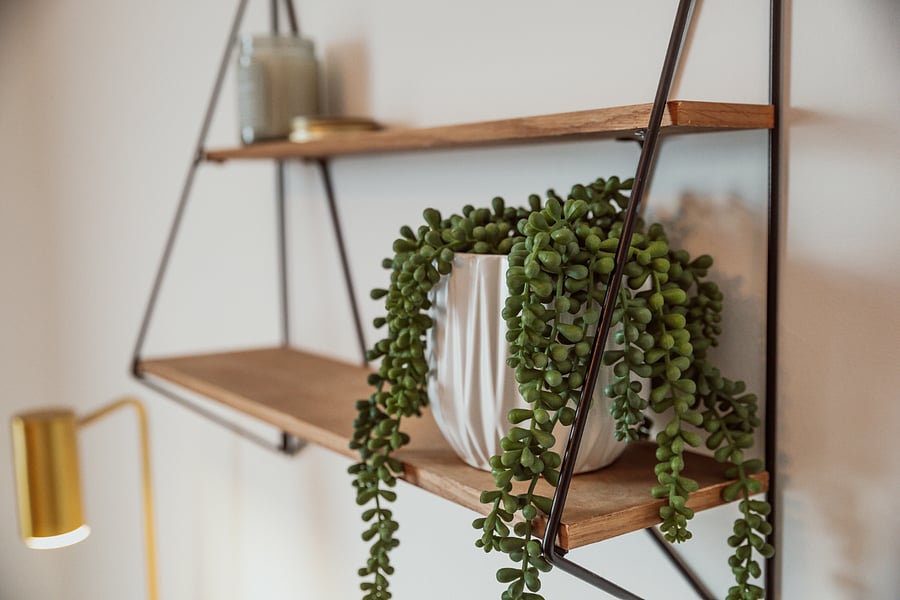 Gold Room Shelf