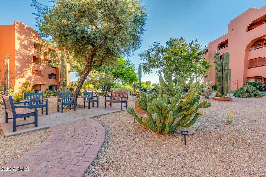 Beautiful desert garden