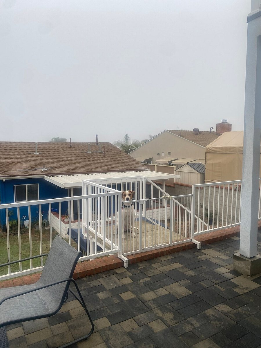 Furnished Finder property 847459_1 photo 29