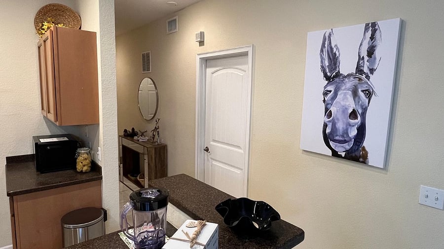 Furnished Finder property 847512_1 photo 15