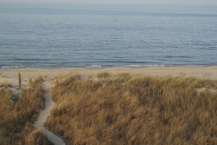 Path to the beach and the Chesapeake Bay