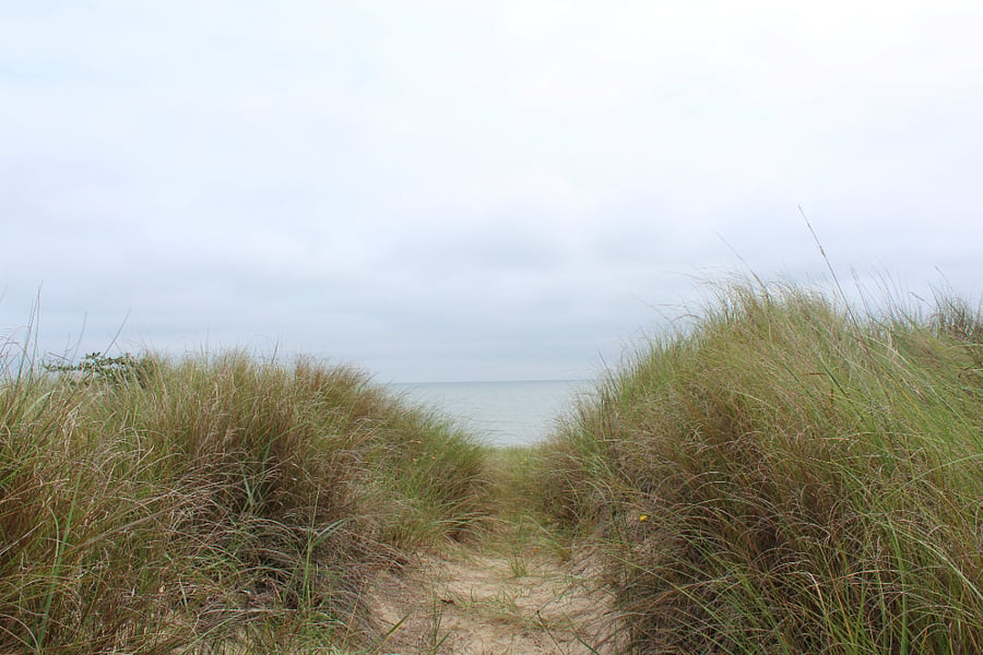 Pathway to the beautiful Chesapeake Bay