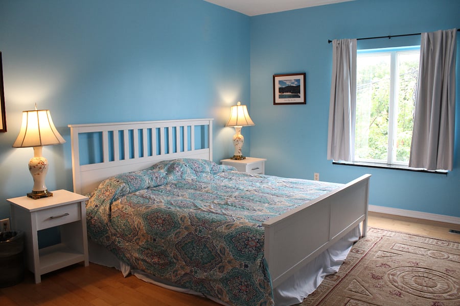 Bedroom includes a walk-in closet