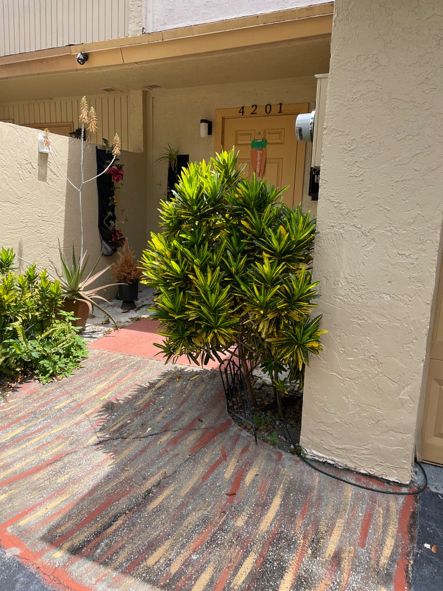 Furnished Finder property 847742_1 photo 4