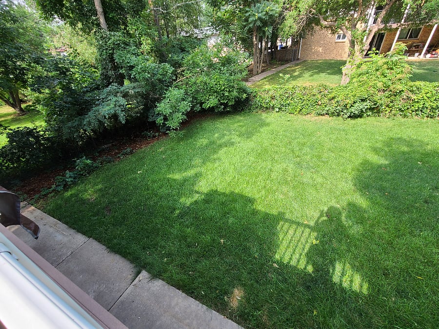 The backyard and hot tub