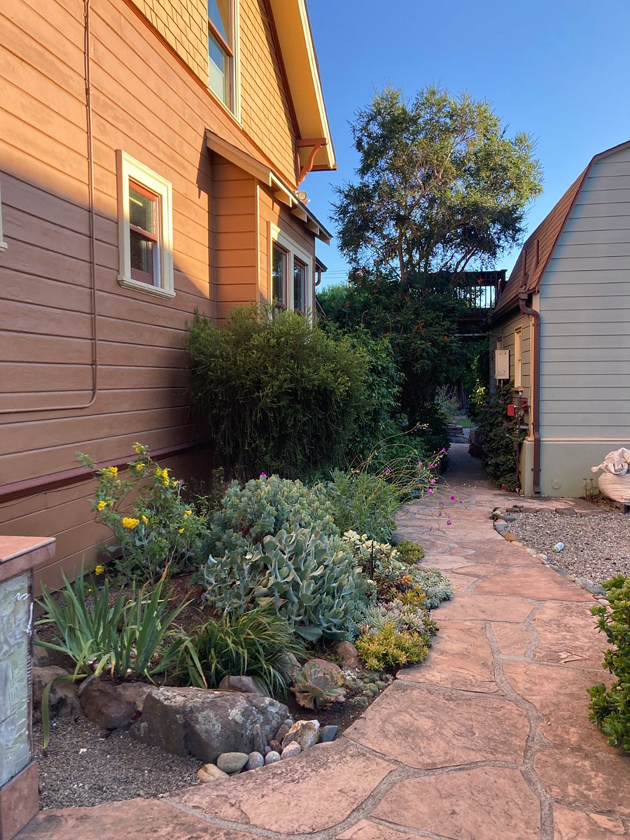 Path to the backyard cottage. Cottage on the right.