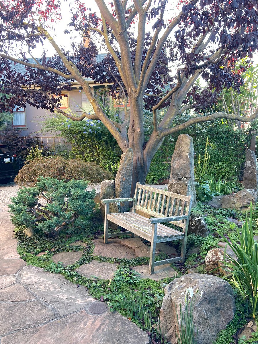 Front yard bench.