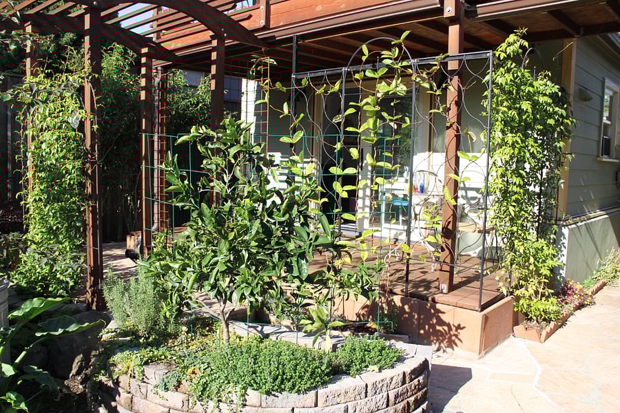 Cottage deck and entrance path