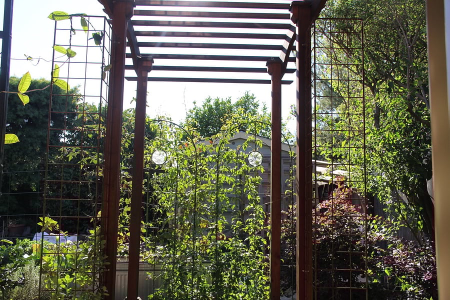 Looking from deck with view of arbor.