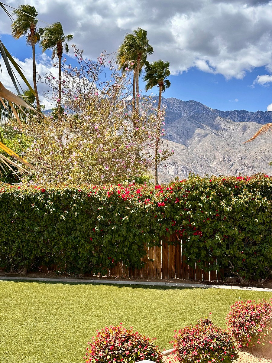 Furnished Finder property 847908_1 photo 15