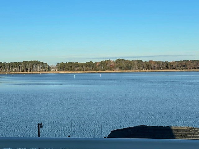 Vast view of the river