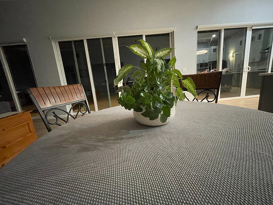 Furnished Finder property 848006_2 photo 12