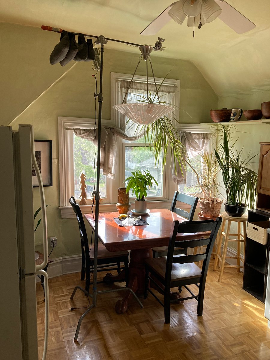Furnished Finder property 848017_1 photo 3