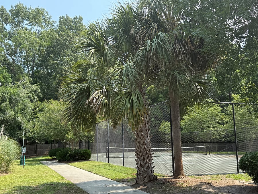 Tennis/Pickleball