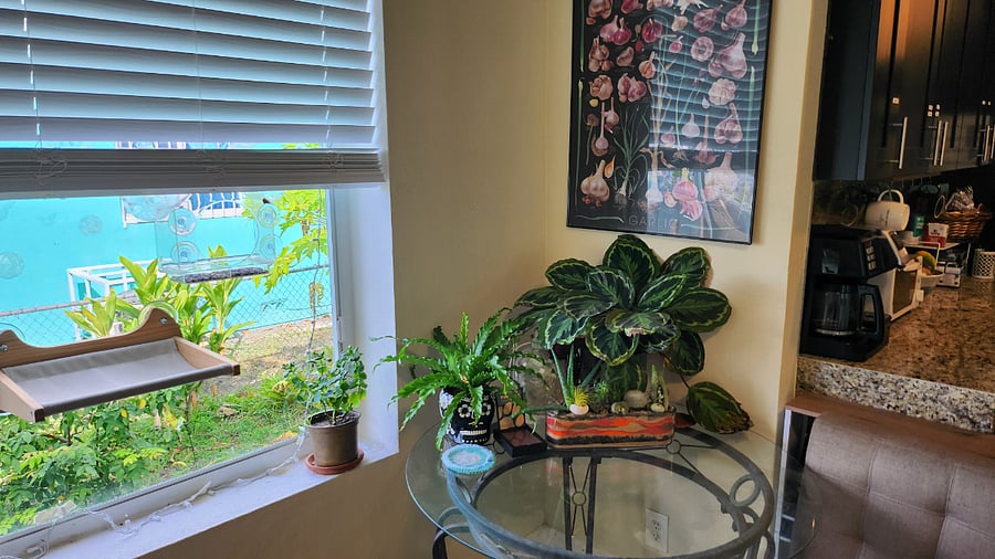Excellent for peaceful reading or eating