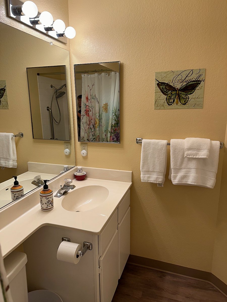Guest bath vanity