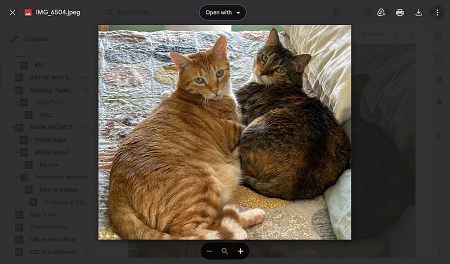 Majus and Zuzu