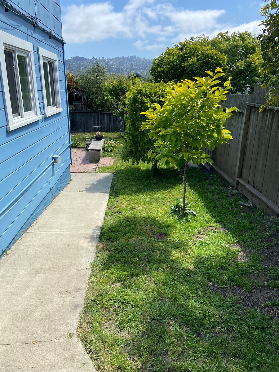 Furnished Finder property 848357_1 photo 16