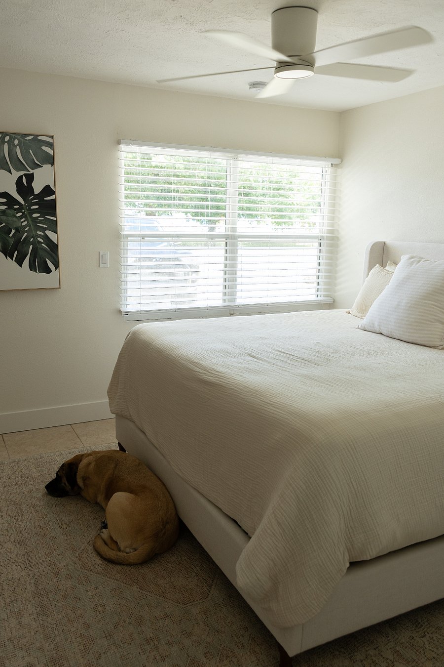 Furnished Finder property 848366_1 photo 22