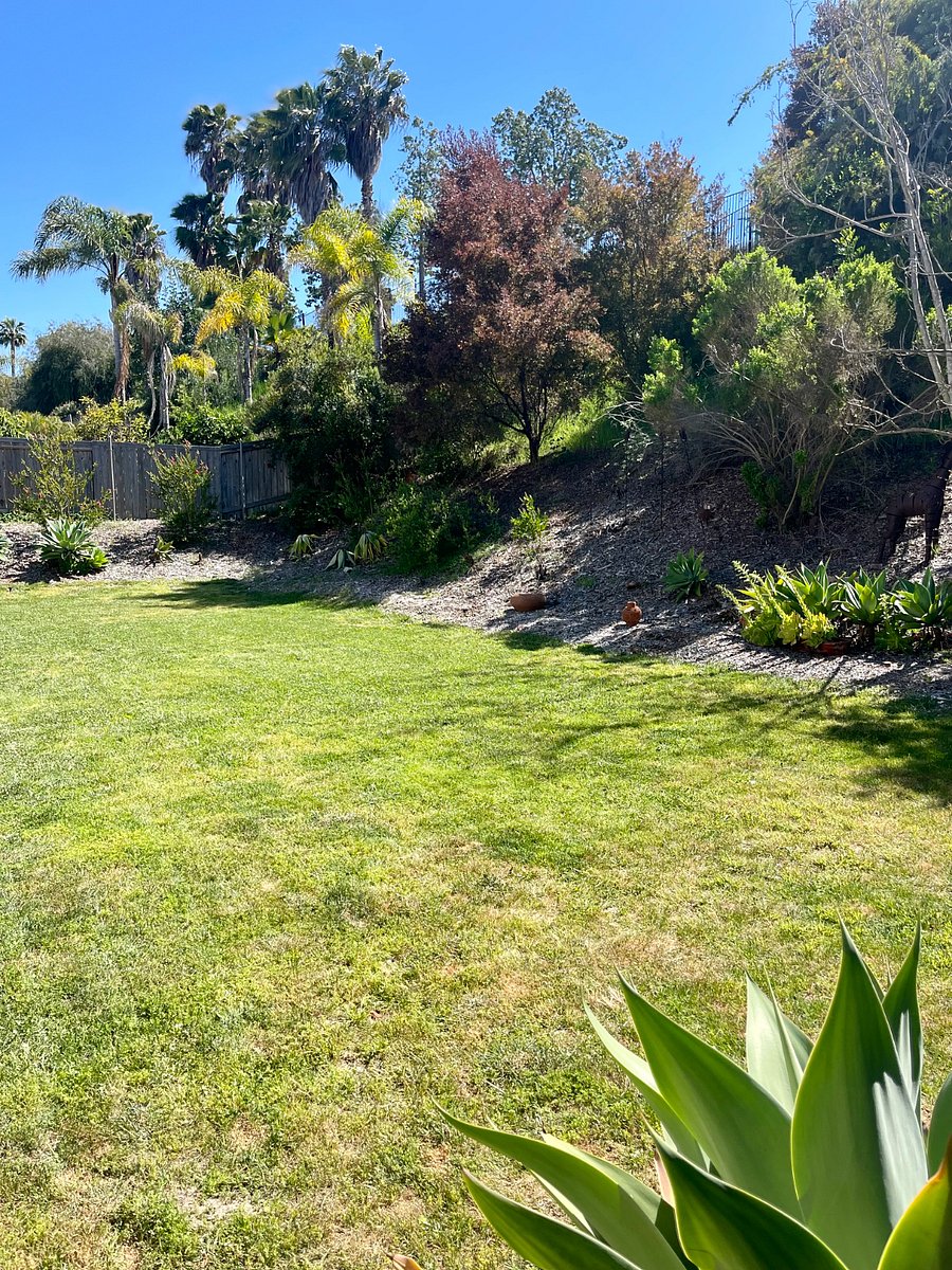 Furnished Finder property 848620_1 photo 9