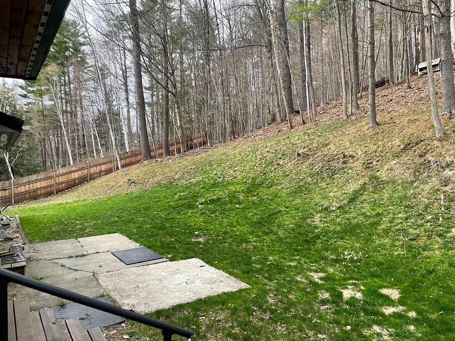 back yard