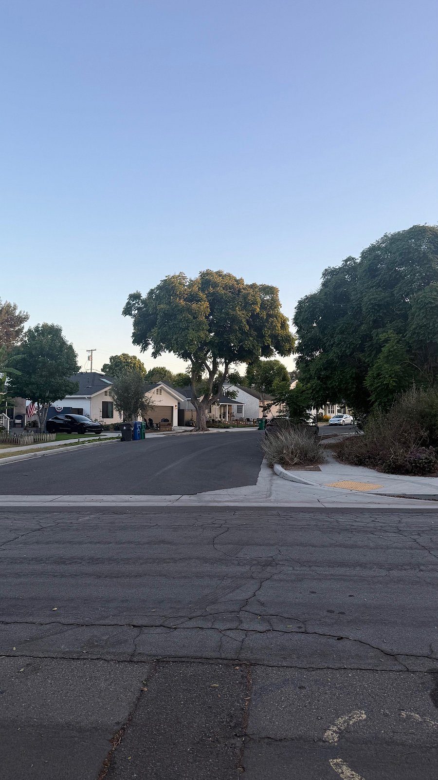 Beautiful and quiet street