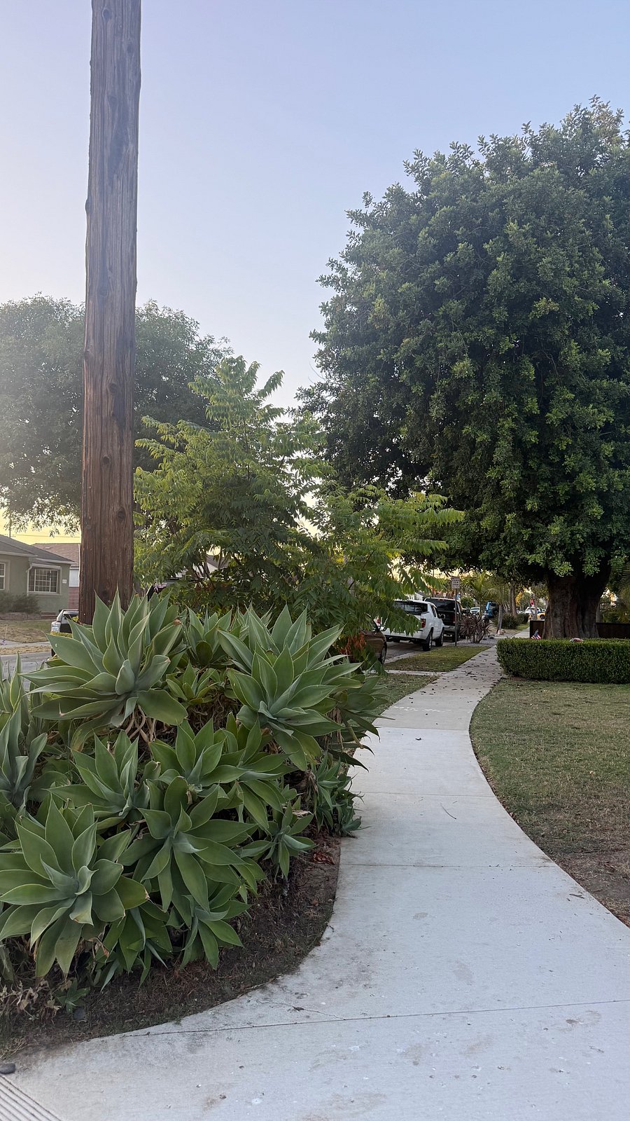 Beautiful and quiet street