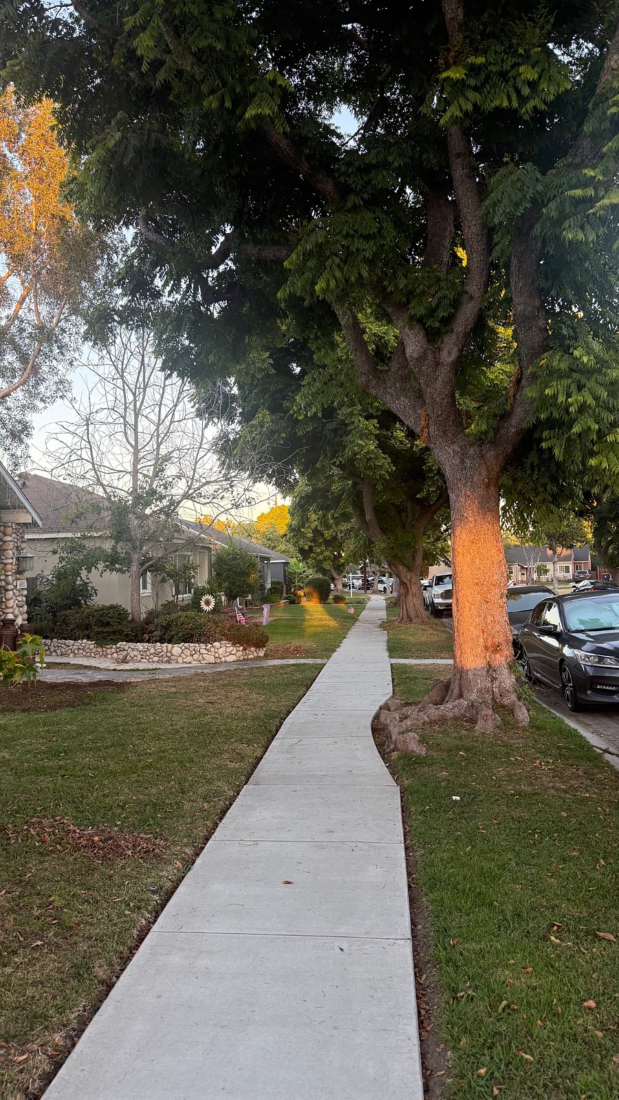 Beautiful and quiet street