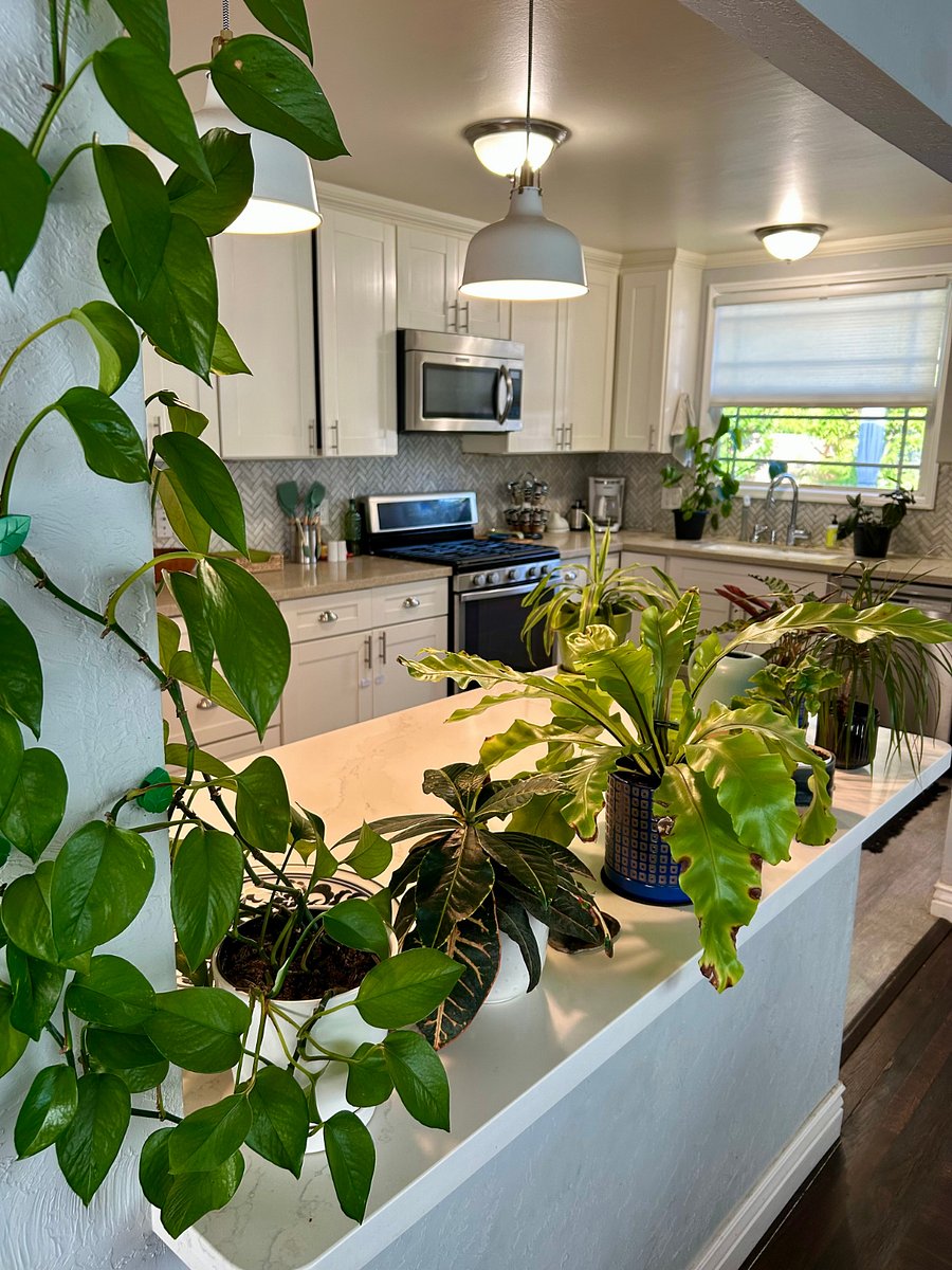 Furnished Finder property 848829_1 photo 10