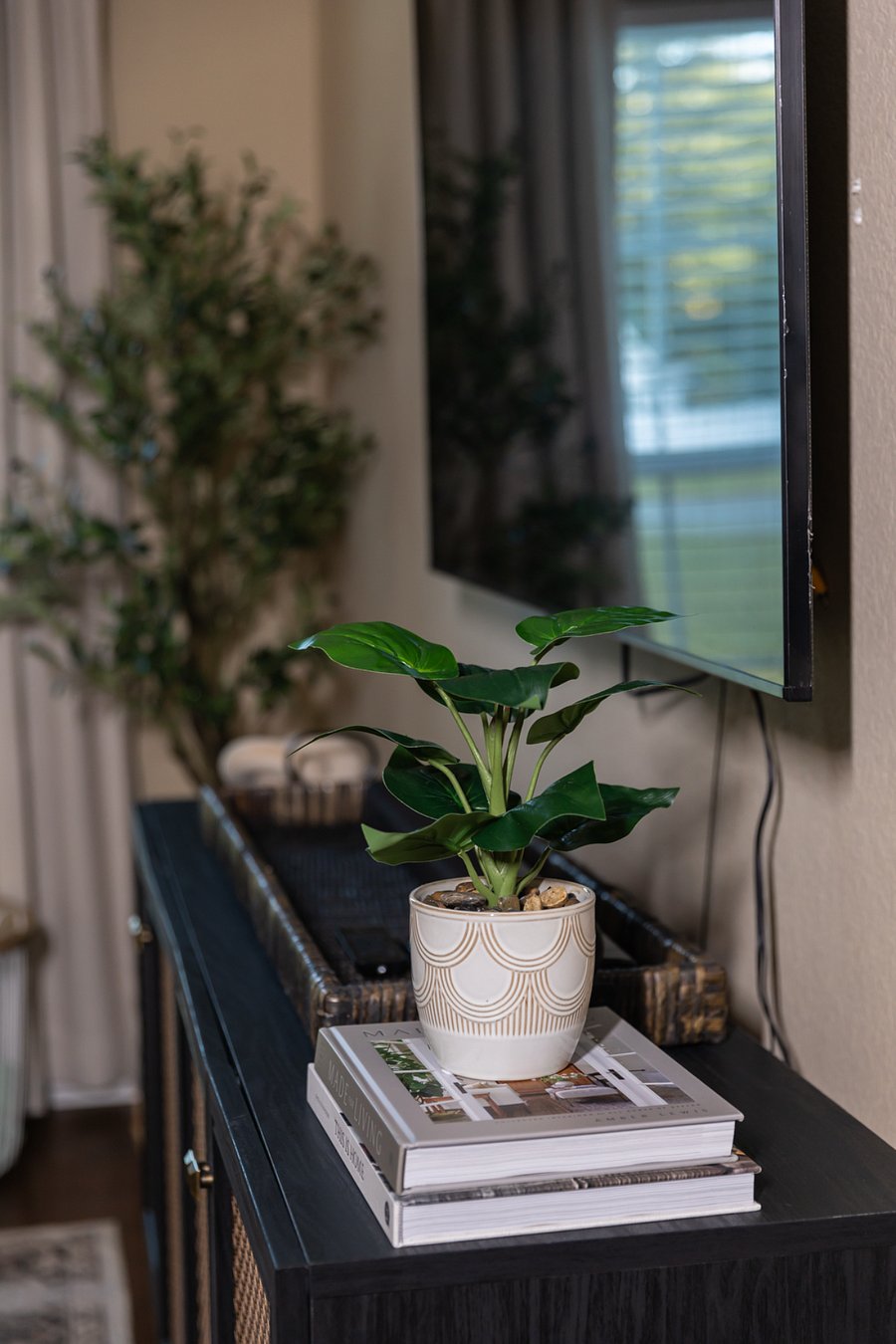 Quick Side View of LIVING ROOM TV