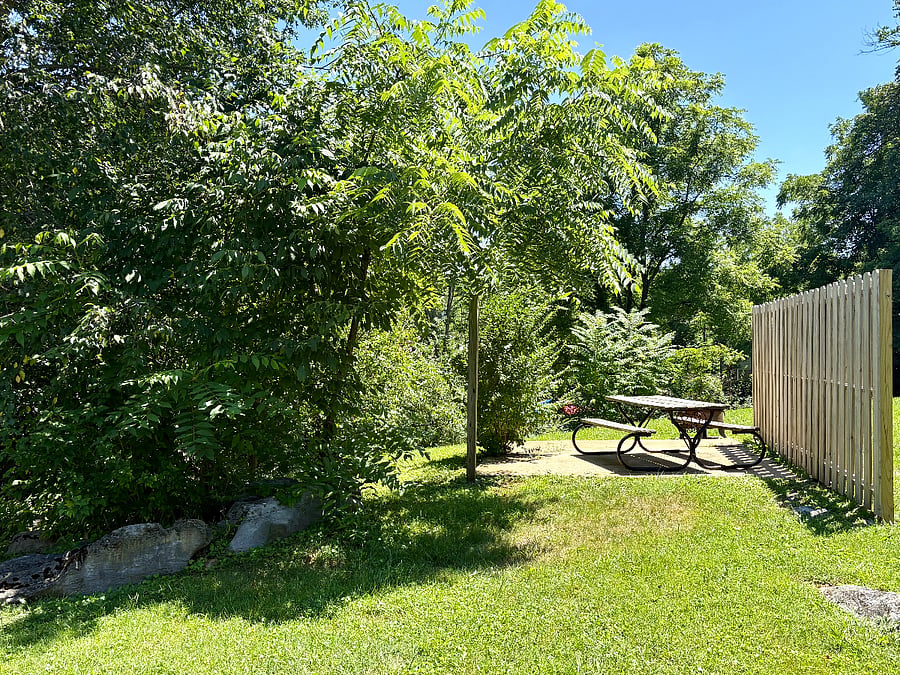 Furnished Finder property 848891_1 photo 28