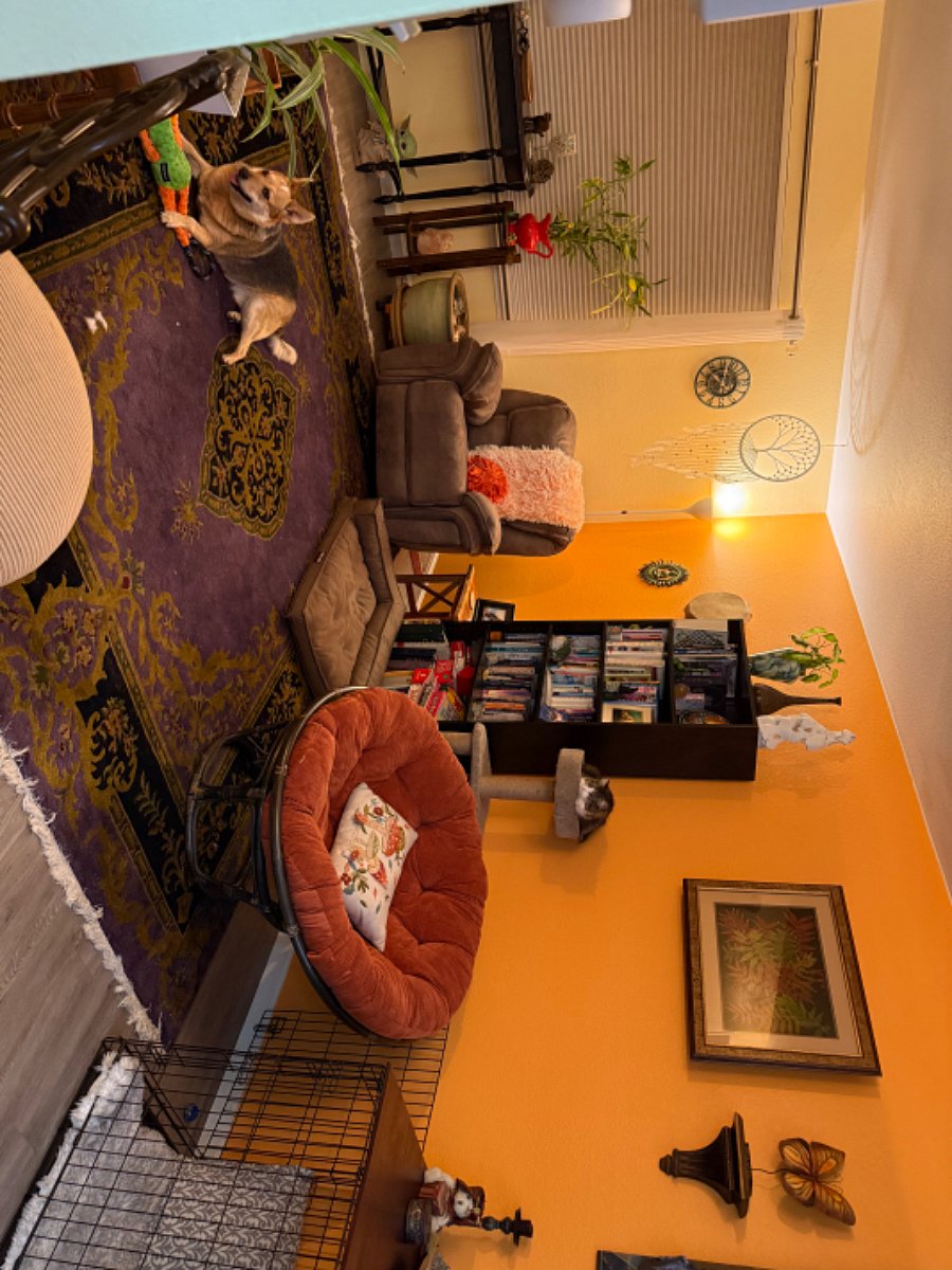 Furnished Finder property 848907_1 photo 11
