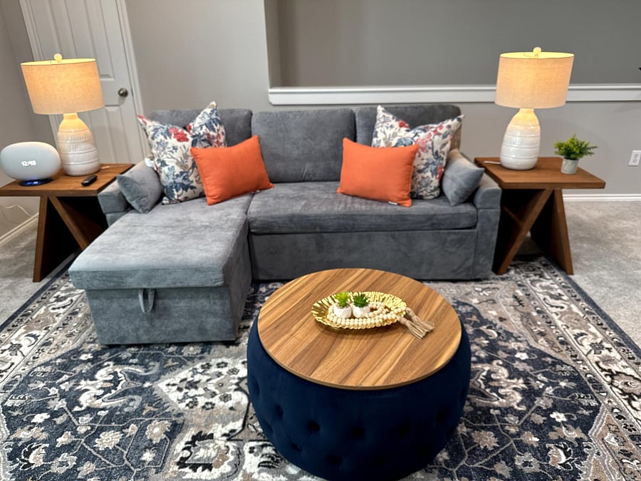 Cozy living room, the sofa converts to a full bed.  There's a closet.
