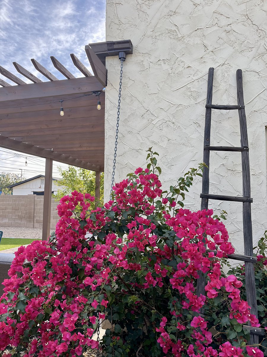 Furnished Finder property 849110_1 photo 27