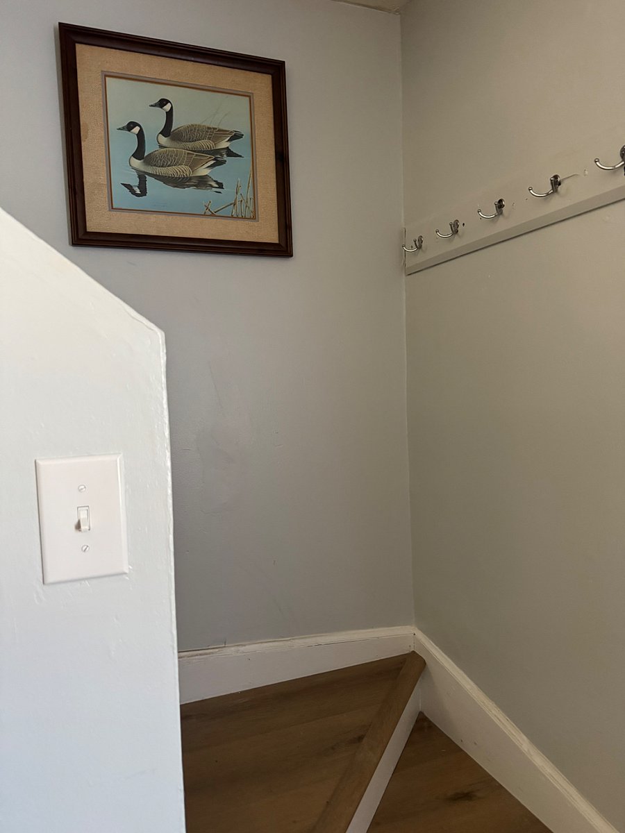 Furnished Finder property 849183_1 photo 13