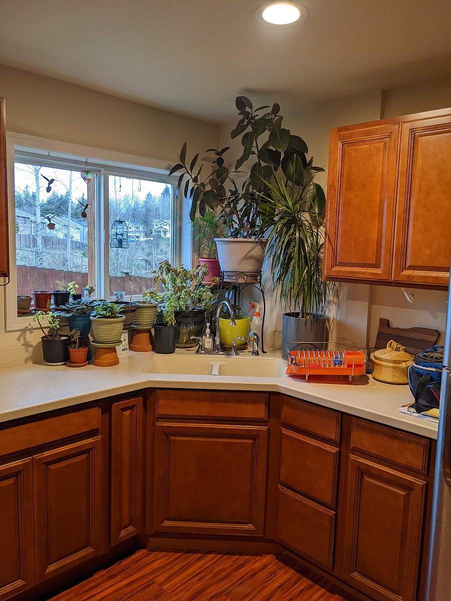 Furnished Finder property 849246_1 photo 10