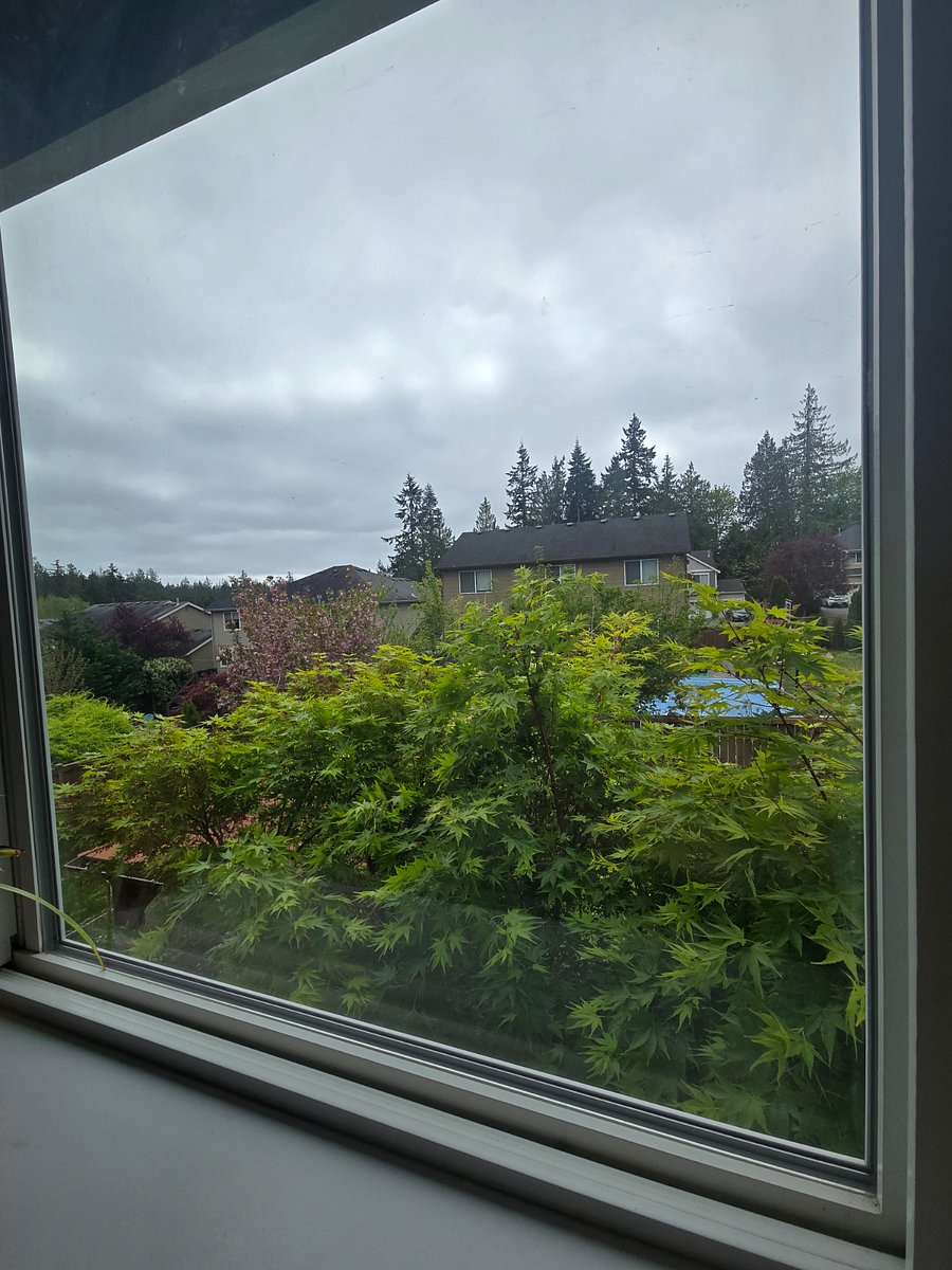 Furnished Finder property 849290_1 photo 14