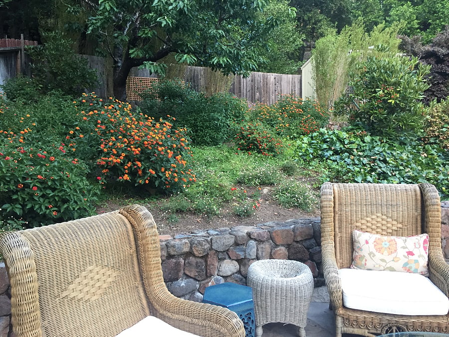 Backyard Terrace