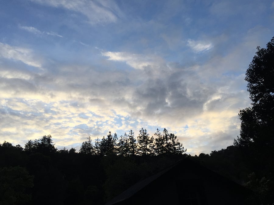 Back Terrace View