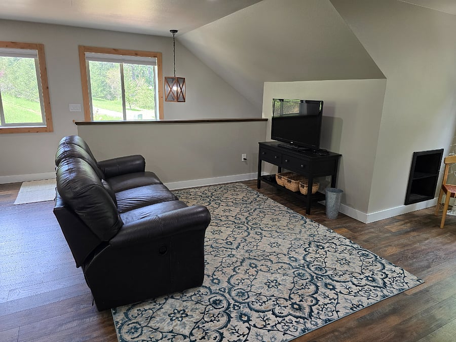Living Area with TV