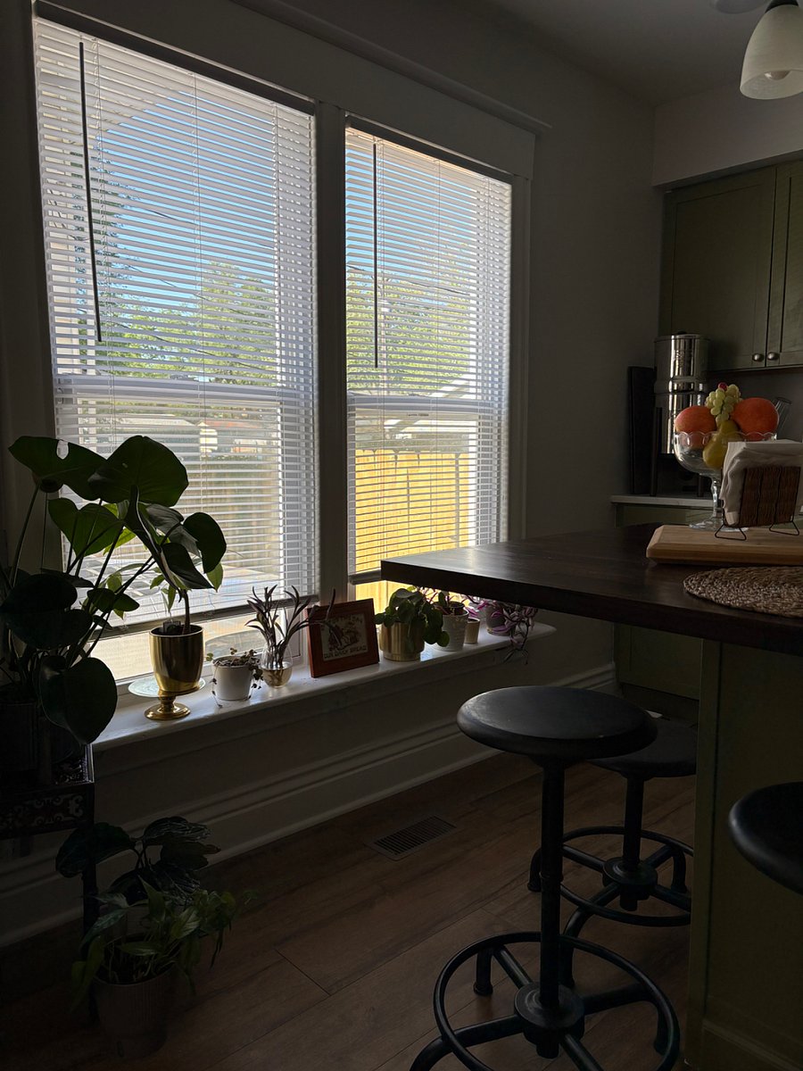 Furnished Finder property 849485_1 photo 14