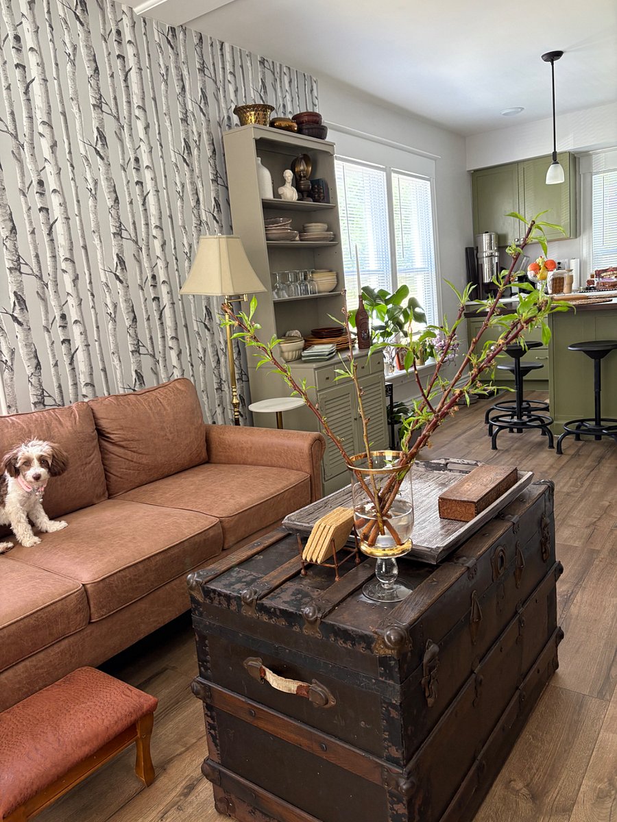 Furnished Finder property 849485_1 photo 18